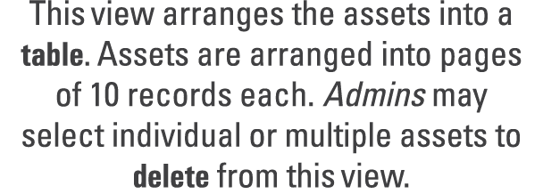 This view arranges the assets into a table. Assets are arranged into pages of 10 records each. Admins may select indi...