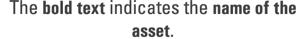 The bold text indicates the name of the asset. 
