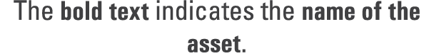 The bold text indicates the name of the asset. 