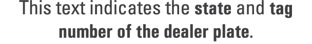 This text indicates the state and tag number of the dealer plate.